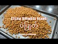 Burmese favorite steam beans 