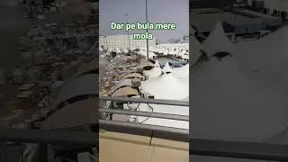 #hajj ##pilgrim #1million #shorts
