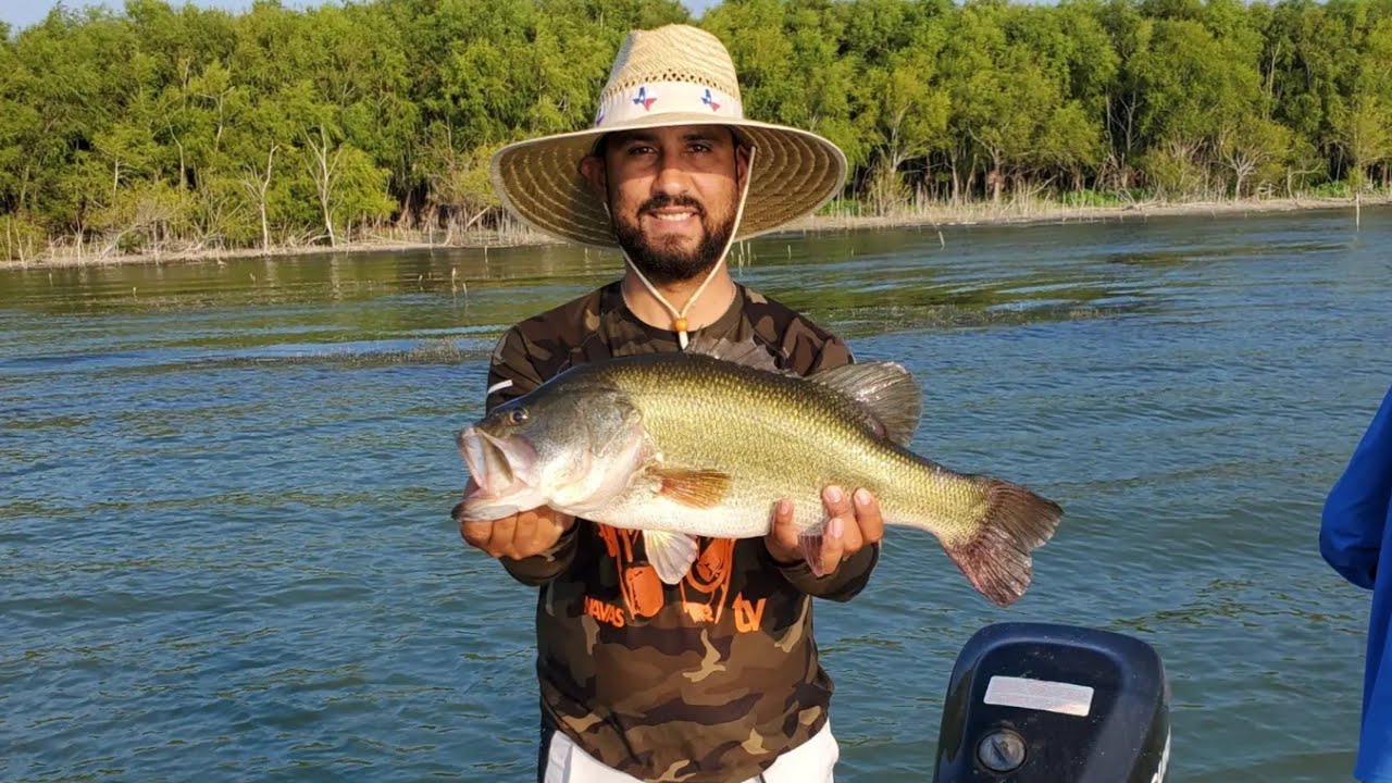 Monster Bass First Time Fishing Choke Canyon (Day 1) / Primera ves