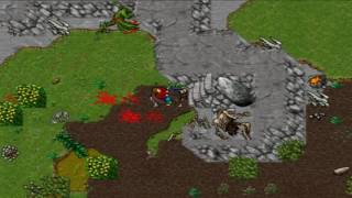 Tibia- Trapado D-lair Venore-Laudera