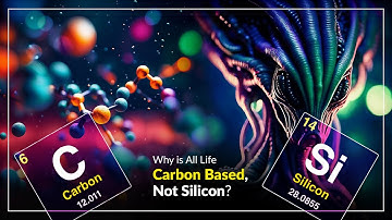 Why is All Life Carbon Based, Not Silicon? Third Reason is Startling