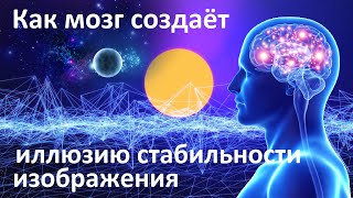 видео: Как мозг обманывает нас | Нейрофизиологический механизм стабилизирует изображение картинка: Как мозг обманывает нас | Нейрофизиологический механизм стабилизирует изображение