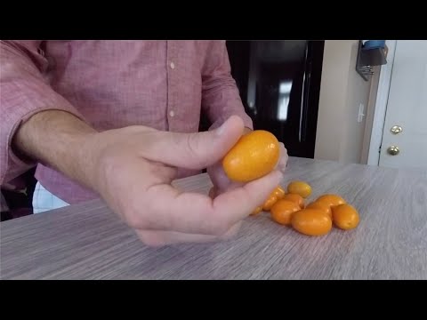 Video: Kumquat: Vilken Typ Av Frukt är Det?