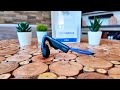 Shokz Openmove : Test et Avis