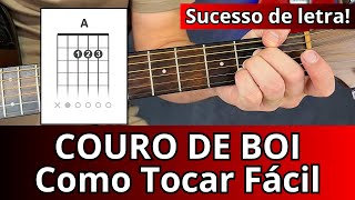 Vídeo de Couro de Boi
