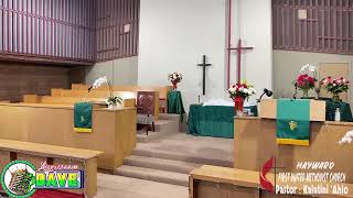 Hayward Fumc Morning Worship Service with Pastor Dan Brown July 3, 2022