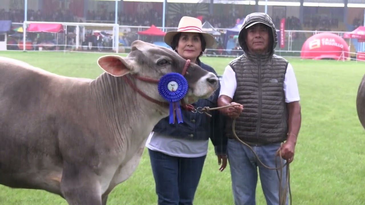 Proyecto Ganadero en Feria San Marcos