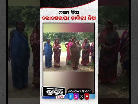 ରୋଷେୟା ଚାକିରୀ ଦେବା ପାଇଁ ମାଗୁଛନ୍ତି କୋଡିଏ ହଜାର  #shortsvideo #odishanews #odishabhaskar