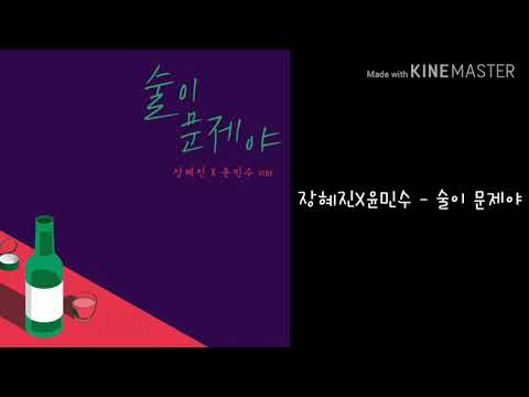 장혜진X윤민수 - 술이 문제야