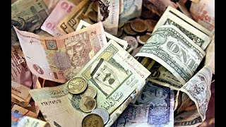 Quanto Custa Um Pintilgo Da Venezuela - .