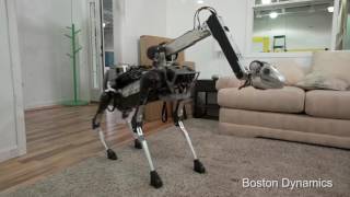 Quirky Robot Dog