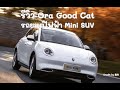 รีวิว รถยนต์ไฟฟ้า Ora good cat ทดสอบสมรรถนะ และ Autopilot Cr. 集车