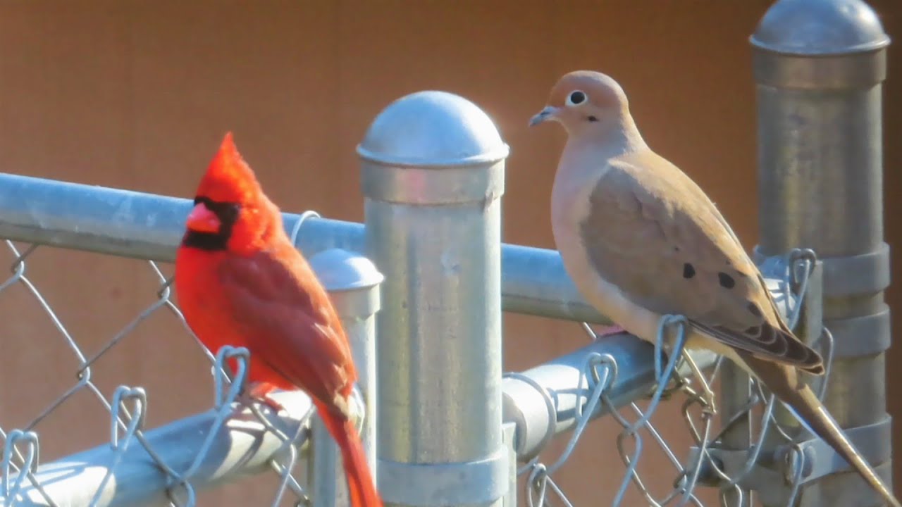 Jeremiah 9 : 23 - 24 __  Boast In The Lord