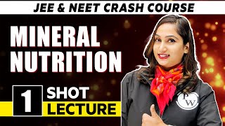 Mineral Nutrition - One Shot Lecture | CHAMPIONS - NEET CRASH COURSE 2022 screenshot 4