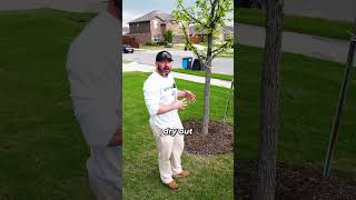 The Right Way to Mulch Trees!