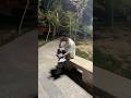 چرا آخرش اینجوری شد سابسکرایب کن بقیه ویدیوها رو از دست ندی Funny خنده چرا آخرش اینجوری شد سابسکرایب کن بقیه ویدیوها رو از دست ندی Funny خنده