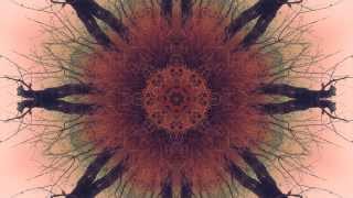 Akharin Shabane - Ahmad Shamlou