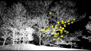 Veximal/Voxel Nearest Neighbors Algorithm