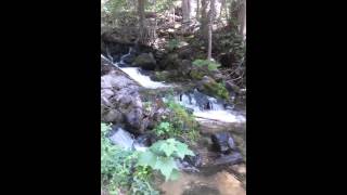 The spring at Allison Ranch, ID