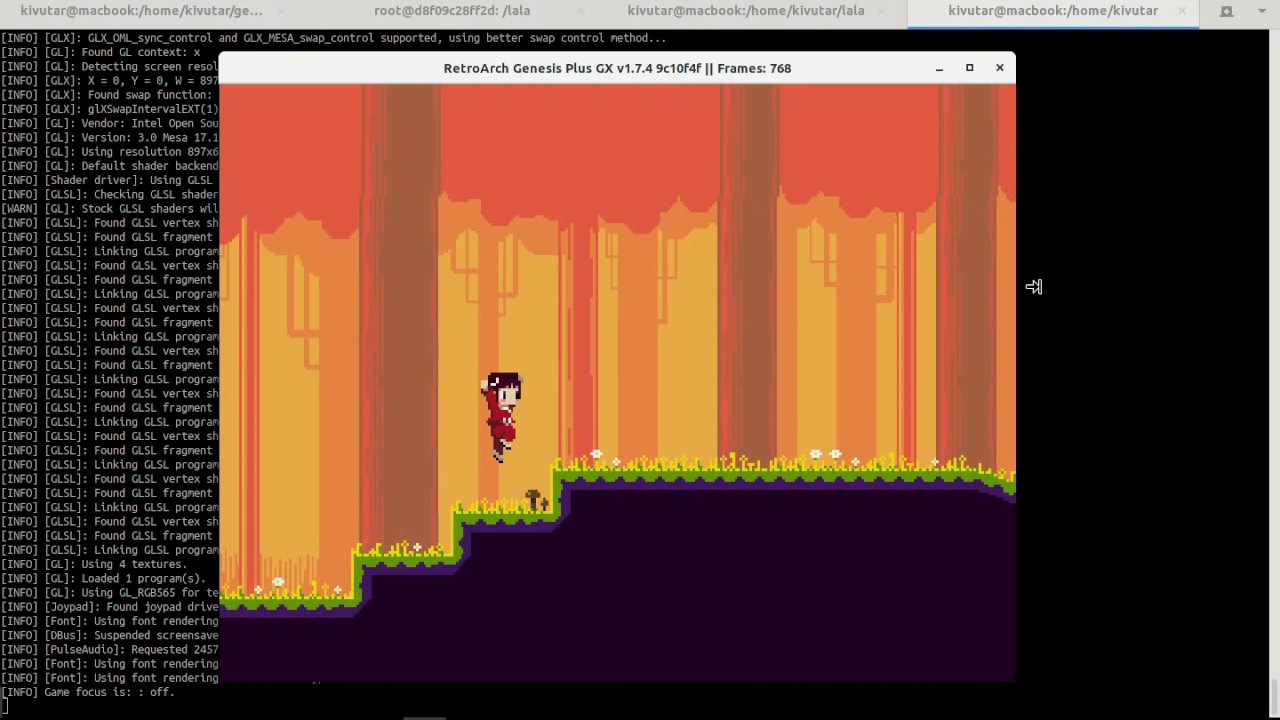 Genesis homebrew experiment