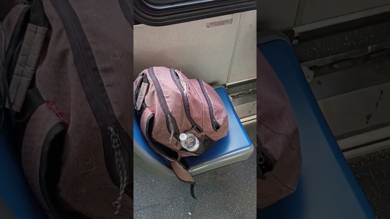 interesting facts about New York local buses