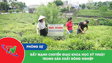 Đẩy mạnh chuyển giao khoa học kỹ thuật trong sản xuất nông nghiệp