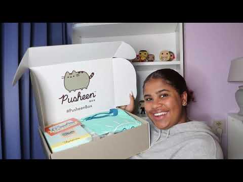 PUSHEEN BOX - VERANO