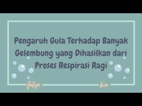 Pengaruh Gula Terhadap Banyak Gelembung yang Dihasilkan dari Proses Respirasi Ragi