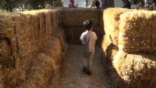 Chanboys - Irvine park pumpkin patch 2014
