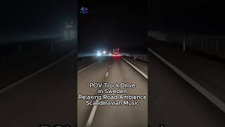 POV Truck at Night: Swedish Roads Never Felt So Calm #nightdrive #relaxing #trucking screenshot 2