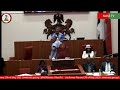 Senate Plenary 17th of May 2023