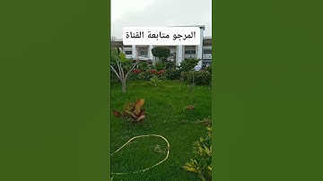 تلاوة خاشعة جدا تستحق الإستماع بتدبر #المصحف #اكسبلور #خيل #دويتو #تيك_توك #في #ترند #لايك