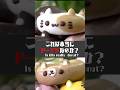 あなたならどの子から食べる？1日2000個爆売れする「めっかわドーナツ」🍩#サイズの晩餐 #shorts #川崎グルメ #どうぶつドーナツ
