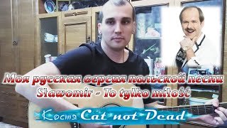 Костя Cat not Dead - Ведь это любовь (моя версия песни на русском cover Sławomir - To tylko miłość)