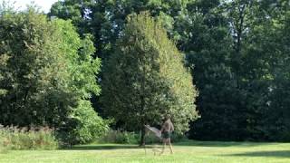 SYLVAN: DUBVIRUS
