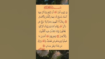 القرآن الكريم سورة النور صلاح بو خاطر #القرآن_الكريم #راحة_نفسية #اطمئن