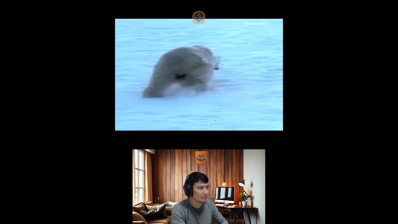 Amazing Animal Growth Journey 