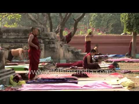 Video: Darkness In Bodh Gaya - Rete Matador