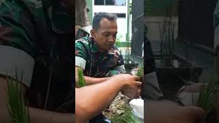 shorts Cara Tanam Padi Apung kopkingtukangfoto