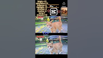 Capcut editing tutorial #capcut #colurgrading #capcutedit #howtoeditvideocapcut