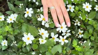 Stacking Rings @LisaLeonardDesigns