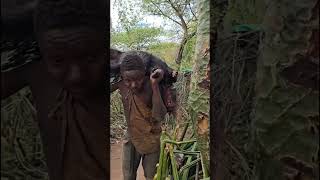 A royal hunt turns into a delicious feast for the whole tribe