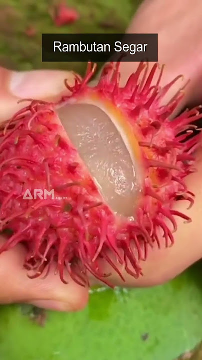 keterampilan memotong buah yang luar biasa dan menenangkan-26||Buah Rambutan#short#buah