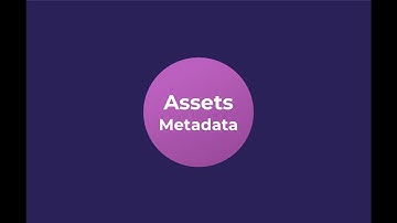 18. Assets - Metadata