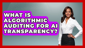 What Is Algorithmic Auditing For AI Transparency? - AI and Technology Law