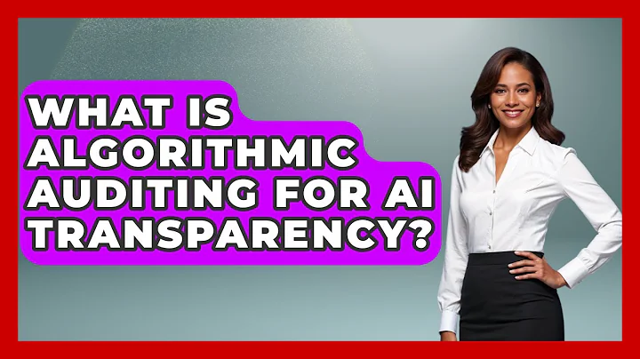 What Is Algorithmic Auditing For AI Transparency? - AI and Technology Law