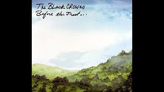 Black Crowes - Houston Don&#39;t Dream About Me