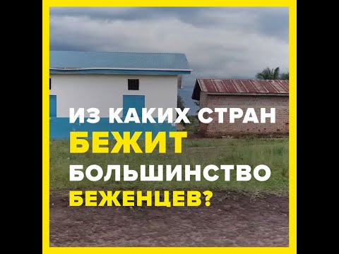 Из каких стран бежит большинство беженцев?