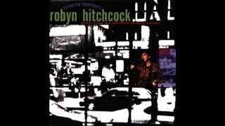 Watch Robyn Hitchcock Where Do You Go When You Die video