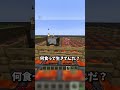 溶岩窯だけの世界がヤバすぎ…#チャレンジ #最難関 #minecraft #マインクラフト